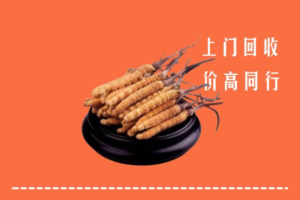 高价求购：阿巴嘎旗回收散虫草